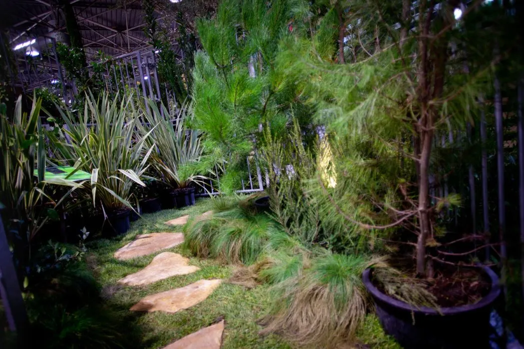 PAYSALIA Carré Jardiniers