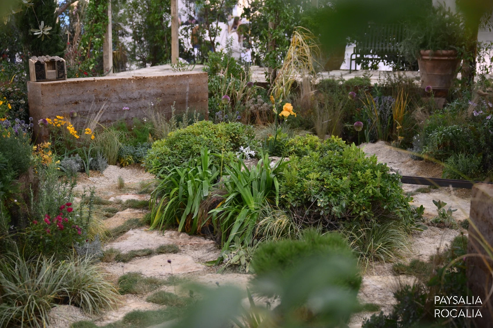 Jardin 2