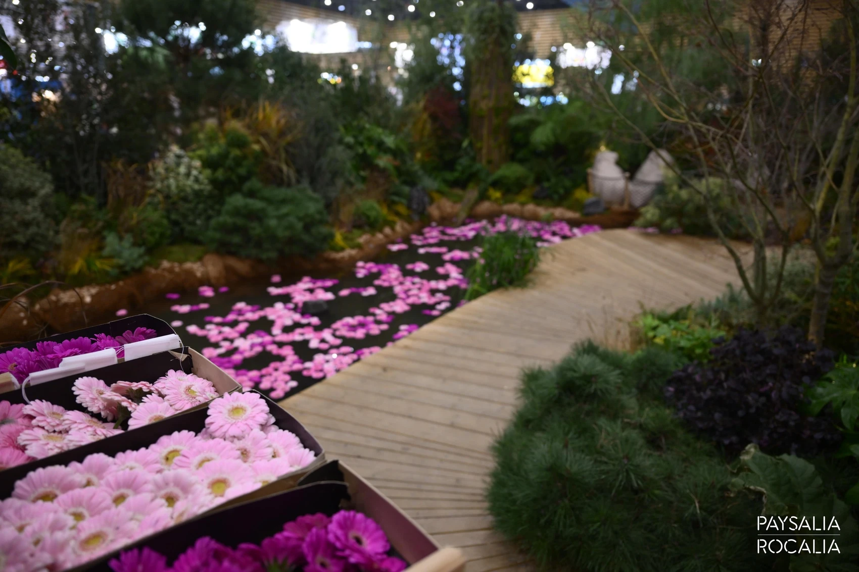 Jardin 1