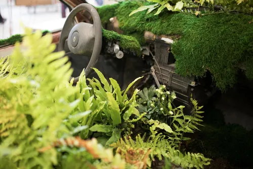 Carré des Jardiniers 2019 André Bisaccia