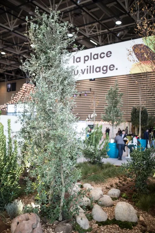 Carré des Jardiniers 2019 Antoine Deltour