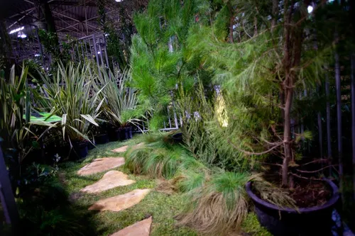 Carré des Jardiniers 2011