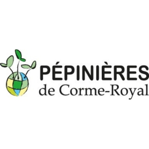 pepinieres de cormes royal