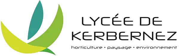 logo lycee kerbernez