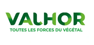 Logo Valhor